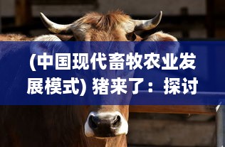 (中国现代畜牧农业发展模式) 猪来了：探讨新时代畜牧业发展与现代农业科技的完美结合