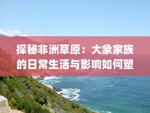 探秘非洲草原：大象家族的日常生活与影响如何塑造环境和生态平衡 详解视频中的关键观察点。 v0.6.8下载