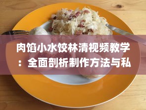 肉馅小水饺林清视频教学：全面剖析制作方法与私家独家秘诀，为你改变传统授课方式 v7.9.6下载