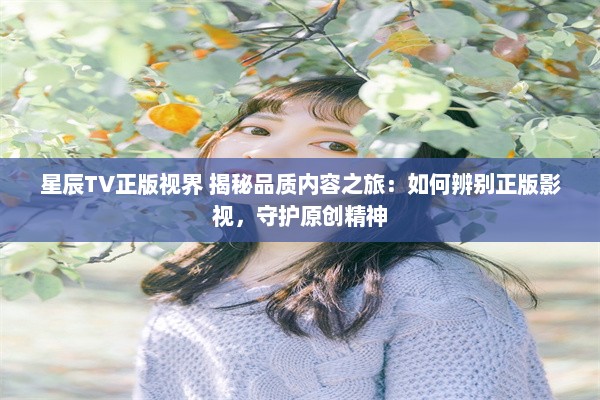 星辰TV正版视界 揭秘品质内容之旅：如何辨别正版影视，守护原创精神