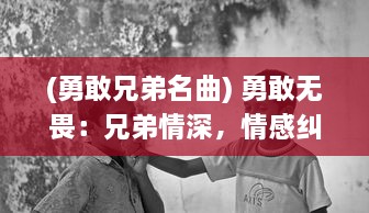 (勇敢兄弟名曲) 勇敢无畏：兄弟情深，情感纠葛与英勇奉献的兄弟传奇故事