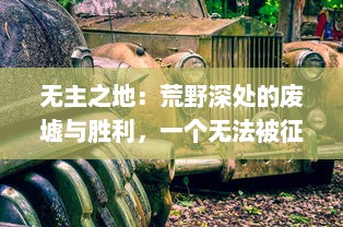 无主之地：荒野深处的废墟与胜利，一个无法被征服与占领的世界的残酷生存故事