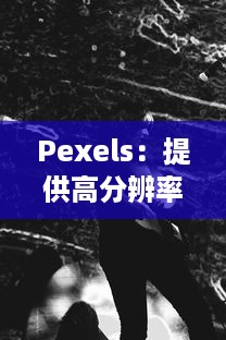 Pexels：提供高分辨率和罗列各种分类的免费照片库，让美学与创意无限可能