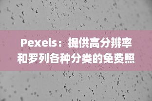 Pexels：提供高分辨率和罗列各种分类的免费照片库，让美学与创意无限可能