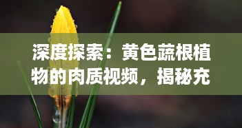 深度探索：黄色蔬根植物的肉质视频，揭秘充满活力和营养价值的自然之美 v8.7.3下载