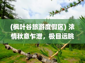 (枫叶谷旅游度假区) 浓情秋意乍泄，极目远眺枫叶岛：自然与艺术起舞的多彩画卷