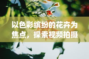 以色彩缤纷的花卉为焦点，探索视频拍摄技巧提升视觉冲击力的4个实用技巧