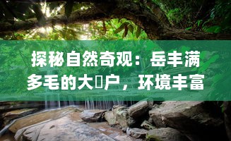 探秘自然奇观：岳丰满多毛的大隂户，环境丰富而神秘的生物栖息地