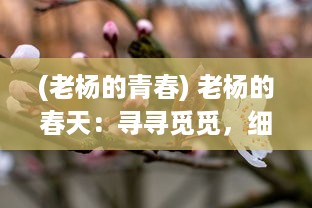 (老杨的青春) 老杨的春天：寻寻觅觅，细嗅人生的暖阳与盛开的希望