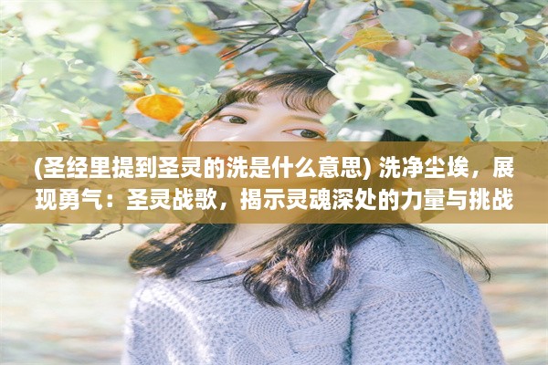 (圣经里提到圣灵的洗是什么意思) 洗净尘埃，展现勇气：圣灵战歌，揭示灵魂深处的力量与挑战