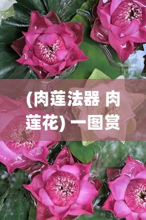 (肉莲法器 肉莲花) 一图赏析：肉莲花法器制作工艺与佛教文化内涵的深度解读