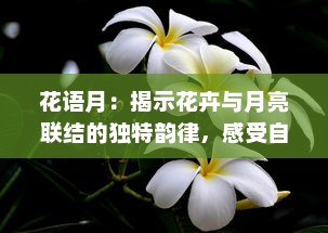 花语月：揭示花卉与月亮联结的独特韵律，感受自然诗意的浪漫主题