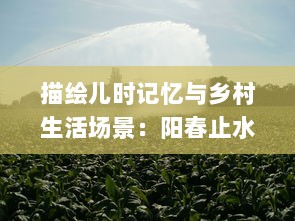 描绘儿时记忆与乡村生活场景：阳春止水by烟树小荞 的深度解读与感悟