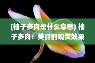 (柚子多肉是什么意思) 柚子多肉：美丽的观赏效果与独特的果香滋味的完美结合