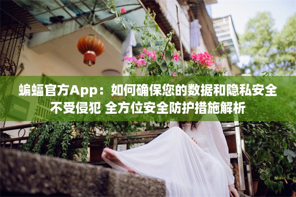 蝙蝠官方App：如何确保您的数据和隐私安全不受侵犯 全方位安全防护措施解析