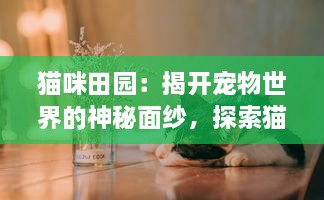 猫咪田园：揭开宠物世界的神秘面纱，探索猫咪与主人和谐共处的田园生活