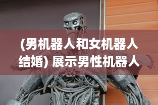 (男机器人和女机器人结婚) 展示男性机器人与女性机器人间互动交流的全新科技实验视频