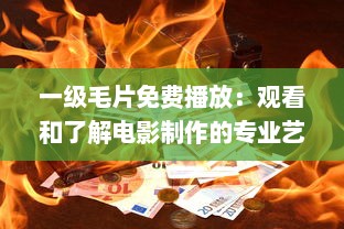 一级毛片免费播放：观看和了解电影制作的专业艺术，探索电影行业的魅力和故事