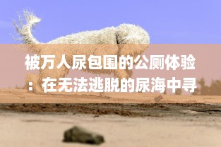 被万人尿包围的公厕体验：在无法逃脱的尿海中寻求生存的荒诞挑战