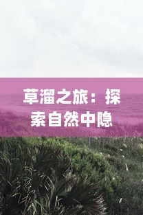 草溜之旅：探索自然中隐藏的生态秘密，体验绿色世界的无尽风光 v7.0.3下载