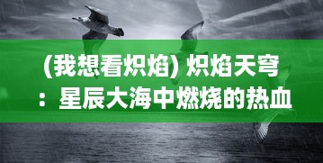 (我想看炽焰) 炽焰天穹：星辰大海中燃烧的热血与梦想，逆风翱翔的勇士之旅