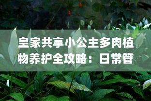 皇家共享小公主多肉植物养护全攻略：日常管理、浇水技巧和养殖环境详细介绍