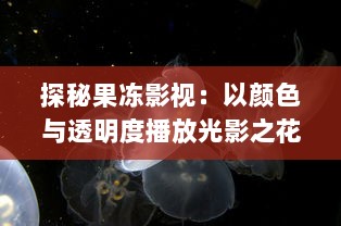 探秘果冻影视：以颜色与透明度播放光影之花，创造全新的视觉体验玄妙世界 v1.3.5下载