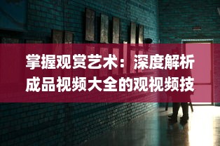 掌握观赏艺术：深度解析成品视频大全的观视频技巧及欣赏之道 v8.6.8下载