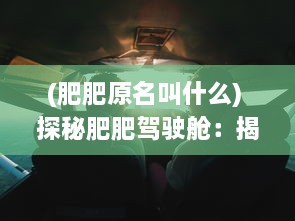 (肥肥原名叫什么) 探秘肥肥驾驶舱：揭秘飞行员的生活秘密与驾驶技术大揭秘