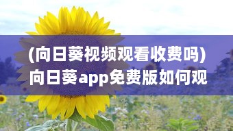 (向日葵视频观看收费吗) 向日葵app免费版如何观看西瓜视频 一步步教你畅享流畅体验