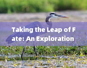 Taking the Leap of Fate: An Exploration into the Journey of Risk-taking and Self-discovery