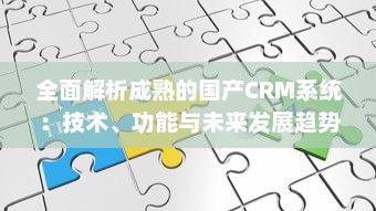 全面解析成熟的国产CRM系统：技术、功能与未来发展趋势 v2.3.3下载