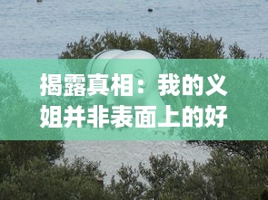 揭露真相：我的义姐并非表面上的好妈妈，内心隐藏的秘密让我痛心疾首