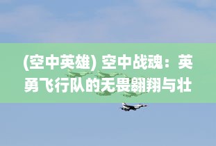 (空中英雄) 空中战魂：英勇飞行队的无畏翱翔与壮志凌云的生死激战