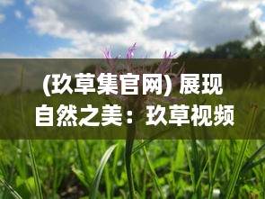 (玖草集官网) 展现自然之美：玖草视频带您探索未知的自然世界