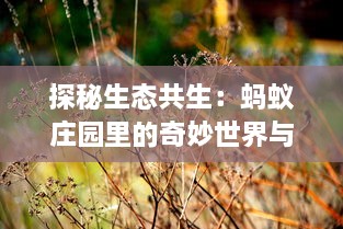 探秘生态共生：蚂蚁庄园里的奇妙世界与复杂生物关系