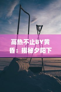 高热不止BY黄昏：揭秘夕阳下的跨界医疗故事，触探生命的热度与无尽希望