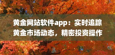 黄金网站软件app：实时追踪黄金市场动态，精密投资操作全掌握 v7.9.7下载