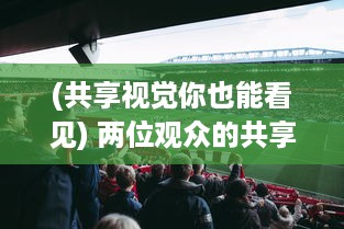 (共享视觉你也能看见) 两位观众的共享视觉体验：探讨在线平台www的同步观看功能