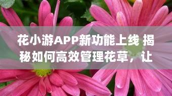 花小游APP新功能上线 揭秘如何高效管理花草，让爱花人士轻松养花。