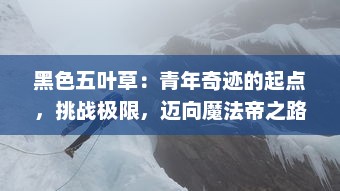 黑色五叶草：青年奇迹的起点，挑战极限，迈向魔法帝之路的冒险与奇幻世界探索