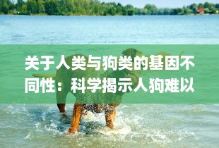 关于人类与狗类的基因不同性：科学揭示人狗难以杂交形成后代的生物学原理 v1.7.0下载