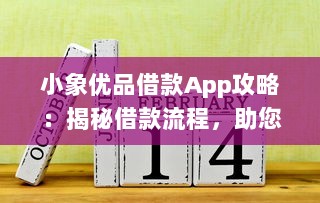 小象优品借款App攻略：揭秘借款流程，助您轻松解决资金难题。安全高效，一键申请，快速放款 v0.4.8下载