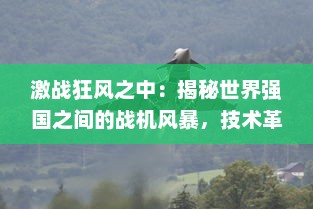 激战狂风之中：揭秘世界强国之间的战机风暴，技术革新与军事大比拼