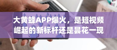 大黄蜂APP爆火，是短视频崛起的新标杆还是昙花一现?社交媒体独特视角解析