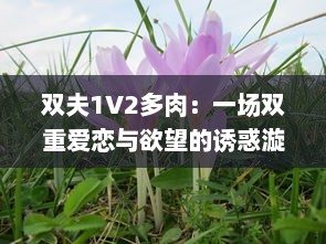 双夫1V2多肉：一场双重爱恋与欲望的诱惑漩涡，让人欲罢不能的情感纠葛