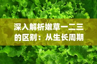 深入解析嫩草一二三的区别：从生长周期、营养价值到适用场景的全面比较 v0.9.9下载