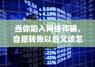 当你陷入网络诈骗，自愿转账以后又该怎么挽回你的损失 具体操作步骤和方法分析