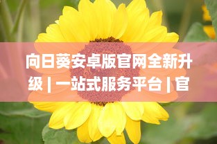 向日葵安卓版官网全新升级 | 一站式服务平台 | 官方直达下载，安全放心 v9.0.8下载