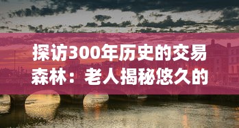 探访300年历史的交易森林：老人揭秘悠久的林业贸易传统 v4.1.6下载